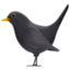 Schwarzer Vogel Emoji U+1F426 U+200D U+2B1B