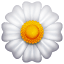 Weiße Blume Emoji U+1F33C