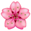 Pinke Blume Emoji U+1F338