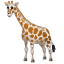 Giraffe Emoji U+1F992