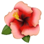 Hibiskus Emoji U+1F33A