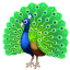 Pfau Emoji U+1F99A