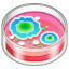 Petrischale Emoji U+1F9EB