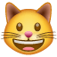 Lachendes Katzen Smiley U+1F63A