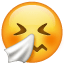 Niesendes Gesicht Emoji U+1F927