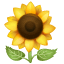 Sonnenblume Emoji U+1F33B