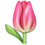 Tulpe Emoji U+1F337