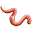 Wurm Emoji U+1FAB1